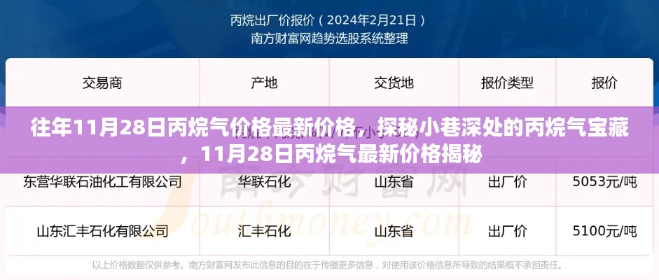 探秘小巷深处的丙烷气宝藏，揭秘最新价格动态与丙烷气市场趋势（仅标题）