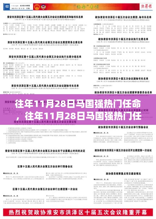 往年11月28日马国强热门任命全面解析，特性、体验、竞品对比及用户群体深度分析