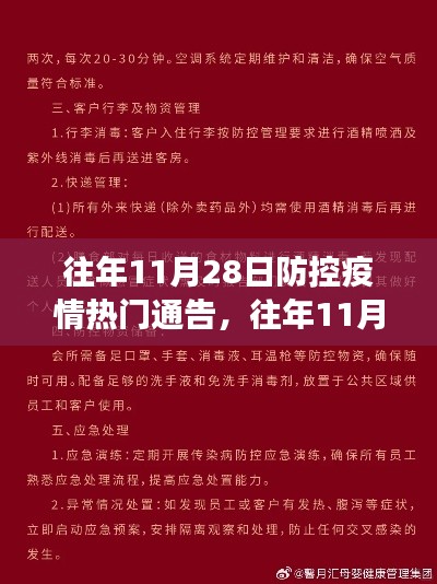 往年11月28日疫情防控通告详解，防疫措施的有效性与实施步骤