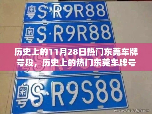 历史上的热门东莞车牌号段深度解析，特性、体验、竞品对比与用户洞察