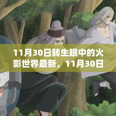 深度探索解析，11月30日转生眼中的火影世界最新动态与深度解读