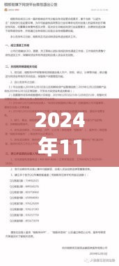 2024年11月30日深圳融金所回顾与展望，最新消息与动态