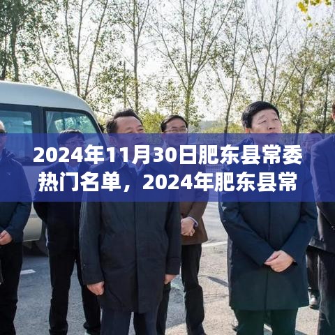 2024年肥东县常委热门名单揭晓，权力与影响力的聚焦点