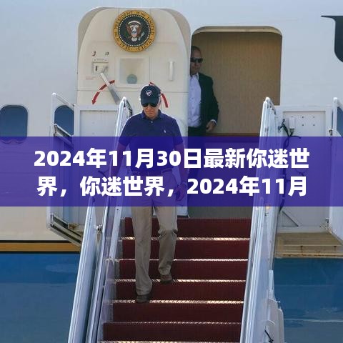 新视角下的你迷世界，2024年11月30日深度探讨