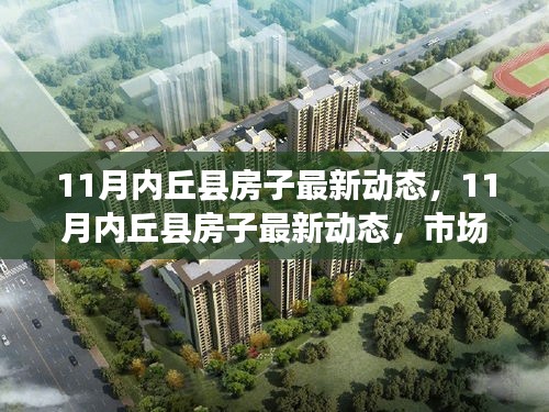 11月内丘县房地产市场动态解析，市场走势、热门区域与精选楼盘深度剖析