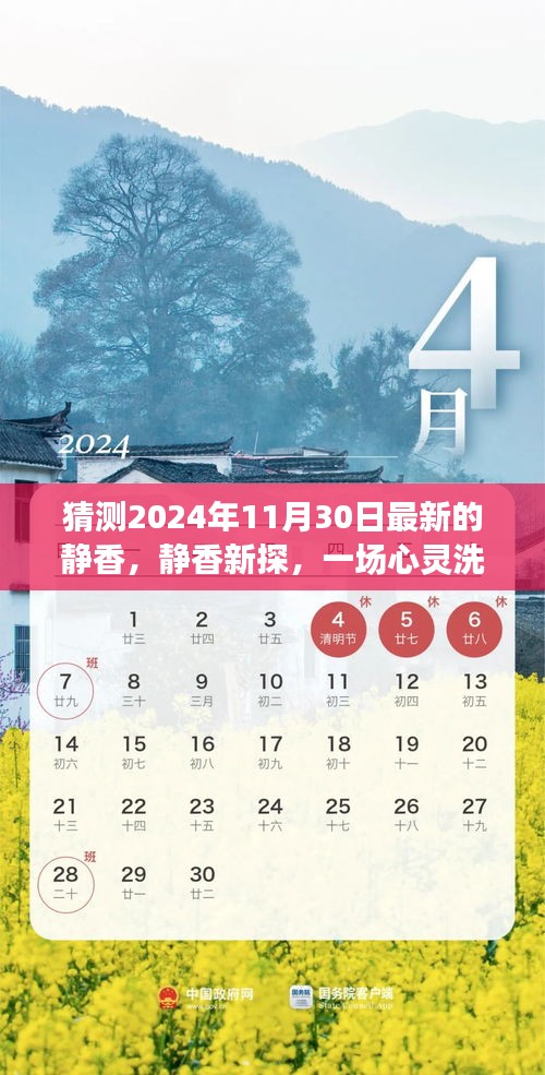 揭秘静香新探，心灵洗涤的自然之旅，预测2024年11月30日的奇遇