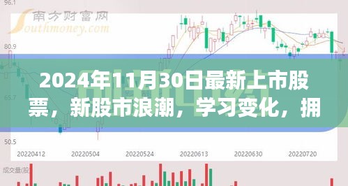 新股市浪潮启示录，拥抱自信与成就，聚焦2024年11月30日最新上市股票