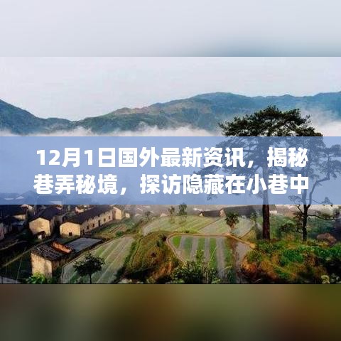 揭秘巷弄秘境，全球新鲜资讯带你探访小巷中的独特小店，独家报道国外最新资讯（12月1日）