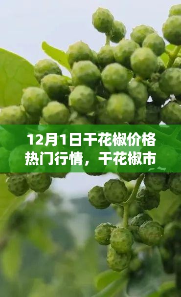 12月干花椒市场行情深度解析，价格动态、趋势展望