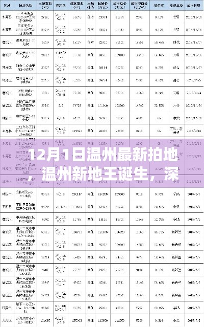 温州新地王诞生，深度解析最新拍地动态（12月1日最新资讯）