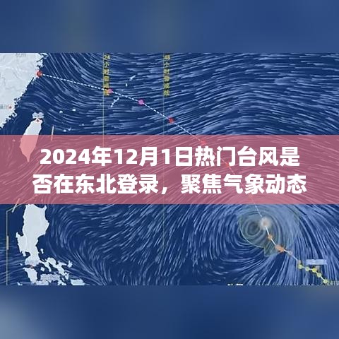 聚焦气象动态，东北台风登录预测分析——2024年台风热门话题