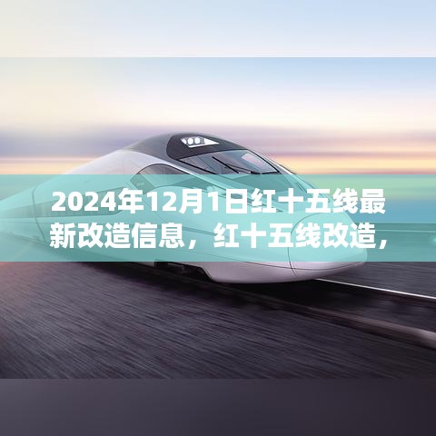 红十五线改造深度解析与观点阐述，最新改造信息（2024年）