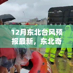 东北奇遇，台风预报下的温情日常