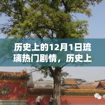 历史上的12月1日，琉璃剧情璀璨瞬间回顾