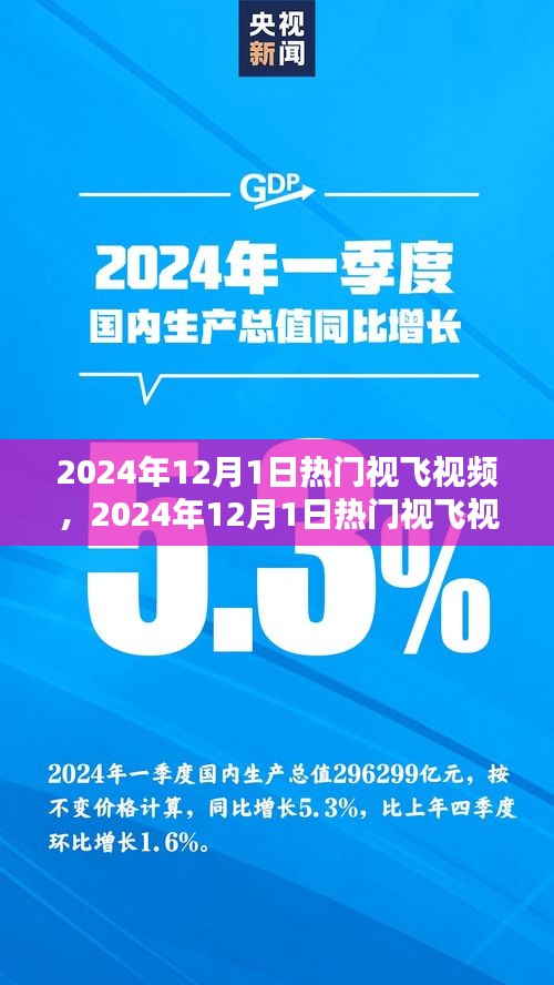 2024年12月1日热门视飞视频盛宴，引领潮流，视觉盛宴