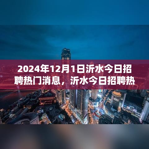 沂水今日招聘热门消息详解，最新招聘信息一网打尽（2024年12月1日）