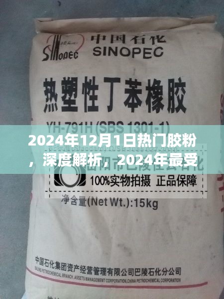 揭秘2024年最瞩目胶粉，深度解析与综合评测