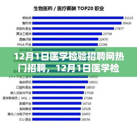 12月医学检验招聘热点解析，岗位热度背后的观点探讨