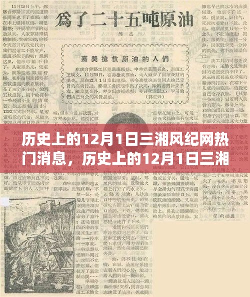 历史上的12月1日，三湘风纪网热门消息的深度解读与观点分享