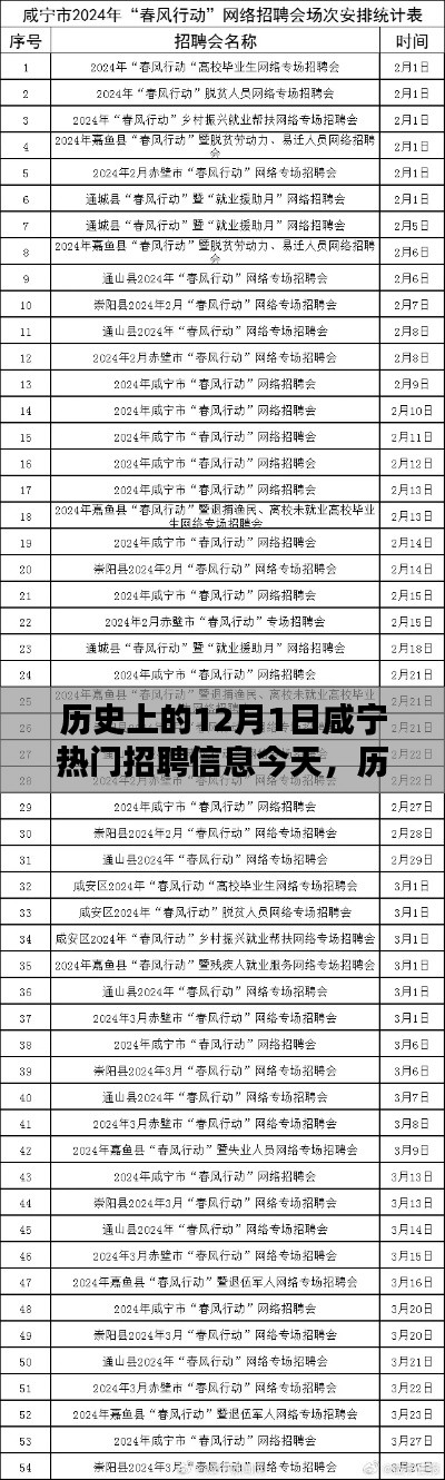 历史上的12月1日咸宁热门招聘信息深度解析与探讨