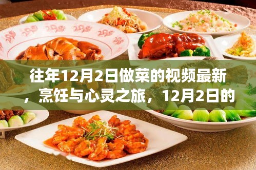 烹饪与心灵之旅，探索美食与自然美景的交融之美——12月2日最新烹饪视频分享