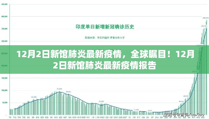 全球瞩目的新馆肺炎疫情，最新报告揭示最新进展（12月2日）