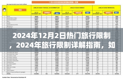 2024年旅行限制详解指南，顺利出行不受限