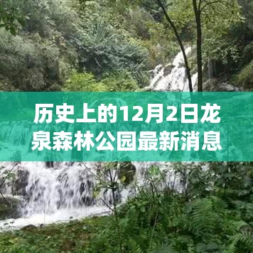 初告白 第11页