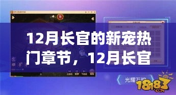 12月长官的新宠，全面评测与介绍热门章节