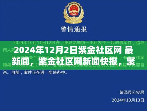 紫金社区网新闻快报，聚焦社区发展新动态，最新消息速递