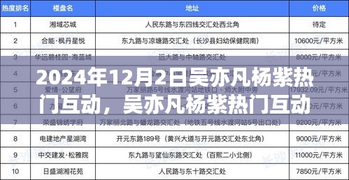 吴亦凡杨紫互动背后的故事与热议焦点揭秘，揭秘热门互动背后的故事与热议焦点（2024年）