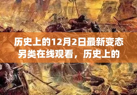 历史上的12月2日，另类在线观看的蜕变之路，自信与成就的转变之旅。