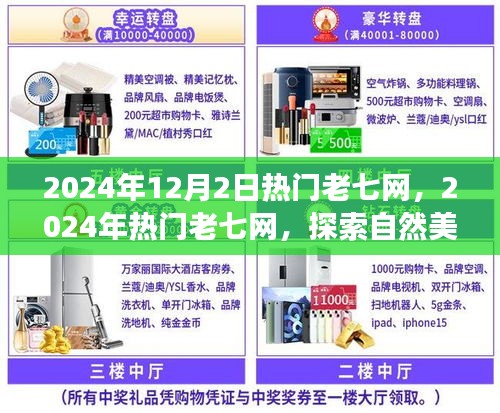 探索自然美景之旅，热门老七网带你寻找内心的宁静与平和（2024年12月2日）