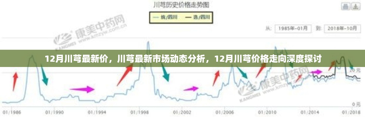 深度探讨，12月川芎最新市场动态与价格走向分析