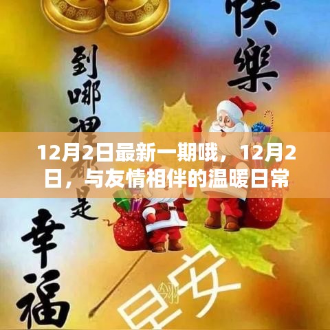 友情相伴的温暖日常，12月2日的温馨记录