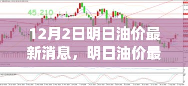 明日油价动态解析，最新消息获取与分析（12月2日更新）