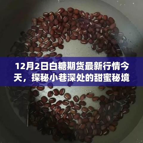 揭秘白糖期货行情与独特甜品小店的神秘故事，今日市场走势深度解析