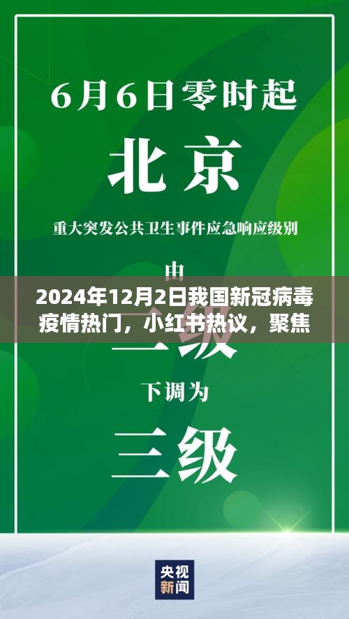 小红书热议，聚焦2024年12月2日我国新冠病毒疫情最新动态与热门讨论