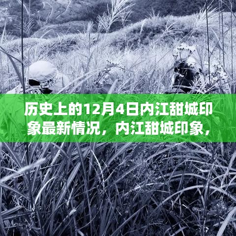 内江甜城印象最新动态，探寻自然美景之旅，感受宁静中的内心平和与喜悦