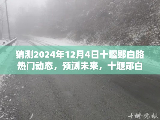 2024年12月4日十堰郧白路热门动态深度解析与预测