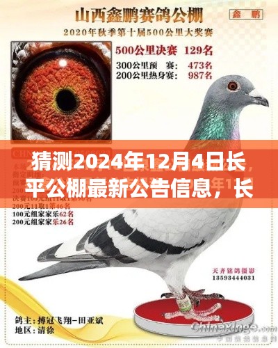 揭秘长平公棚未来篇章，预测长平公棚最新公告信息及其影响，2024年12月4日展望