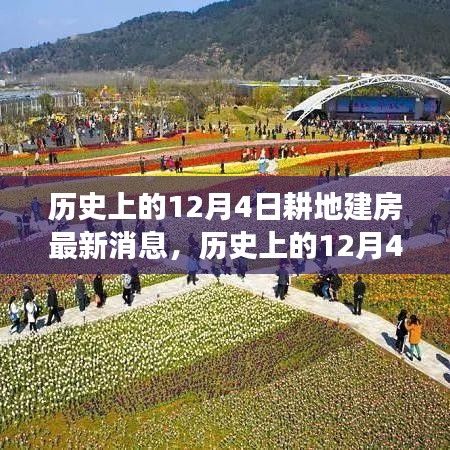 耕地建房新篇章，历史性的12月4日最新消息与成就感的提升