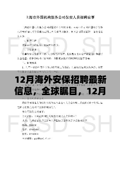 12月海外安保招聘最新动态与全球瞩目信息概览