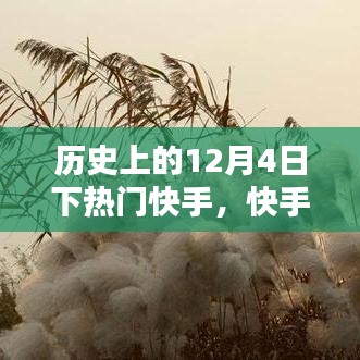 快手温暖日常，历史上的快乐时光——12月4日回顾