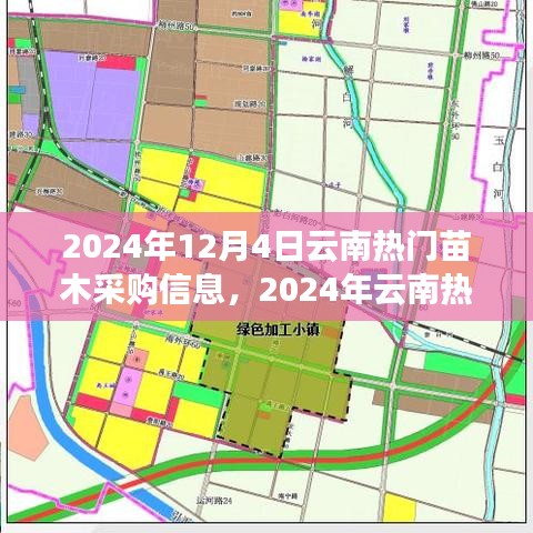 2024年云南热门苗木采购攻略，掌握信息，高效完成采购任务