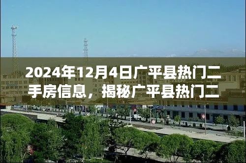 揭秘广平县热门二手房市场，最新房源信息与趋势解析（2024年）