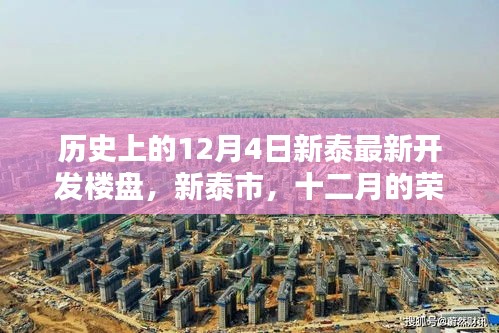 新泰市楼盘开发历程回顾，十二月的荣光——新楼盘最新动态