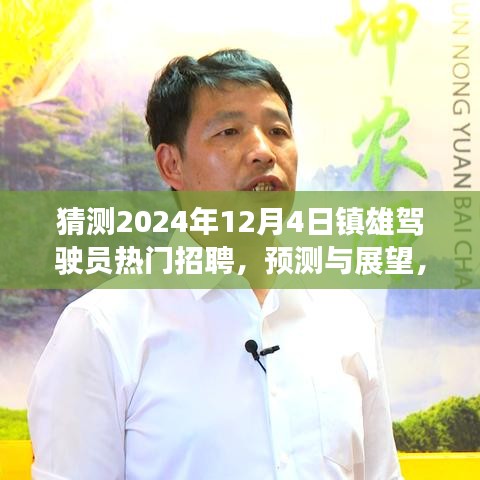 镇雄驾驶员招聘趋势预测与展望，2024年12月4日的热门岗位分析