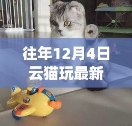 暖冬猫趣，云猫玩最新版体验时光