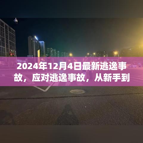 新手进阶应对指南，解析最新逃逸事故处理策略（适用于最新逃逸事故应对）